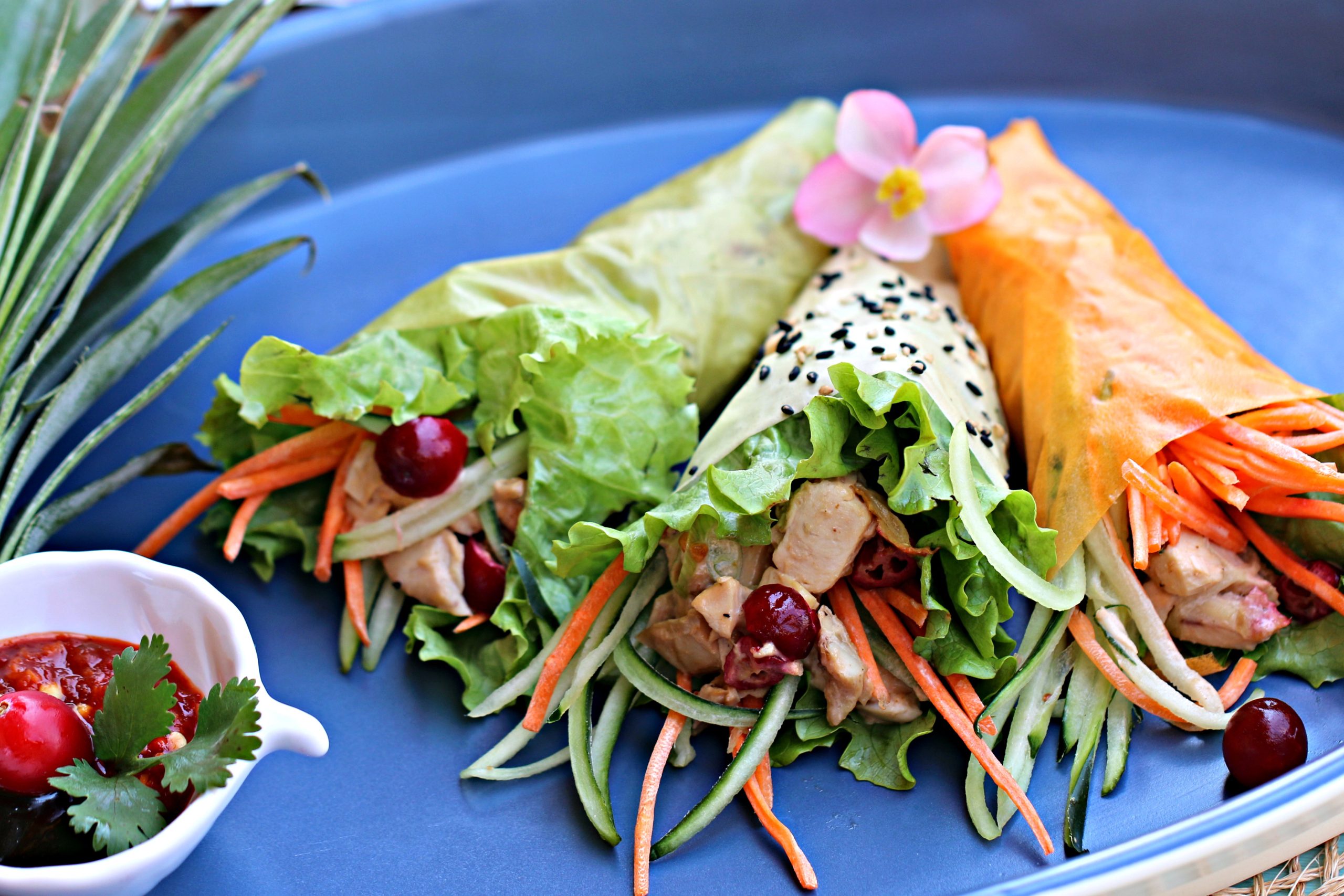 Cranberry Chicken Soy Wrap Hand Rolls