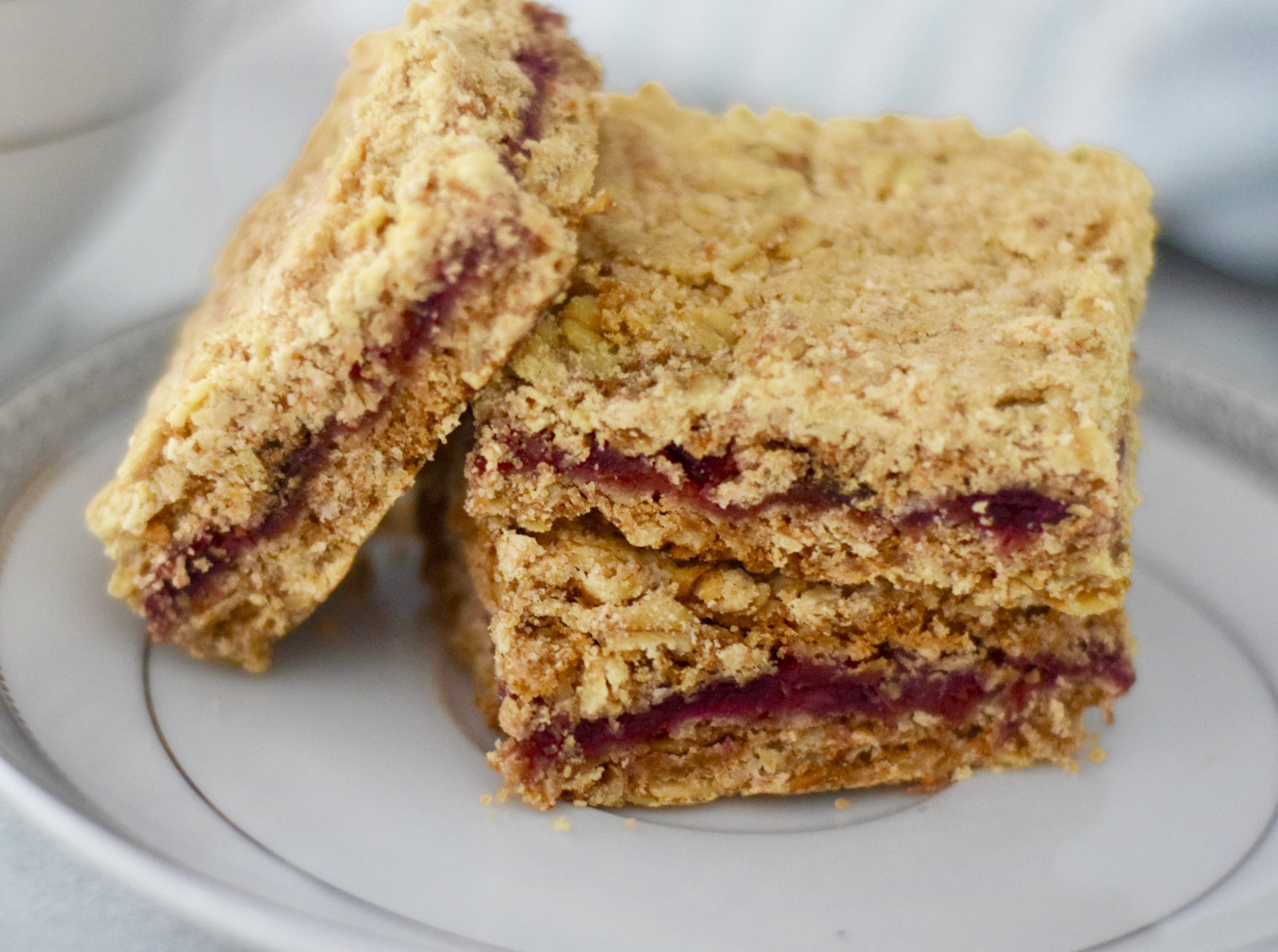 Easy Cranberry Oatmeal Squares